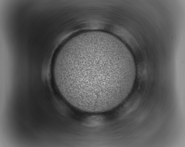 X0000099950536200805301238
