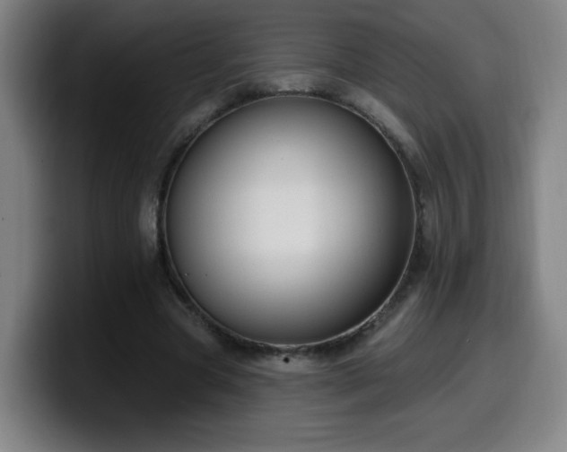 X0000099950537200805301238
