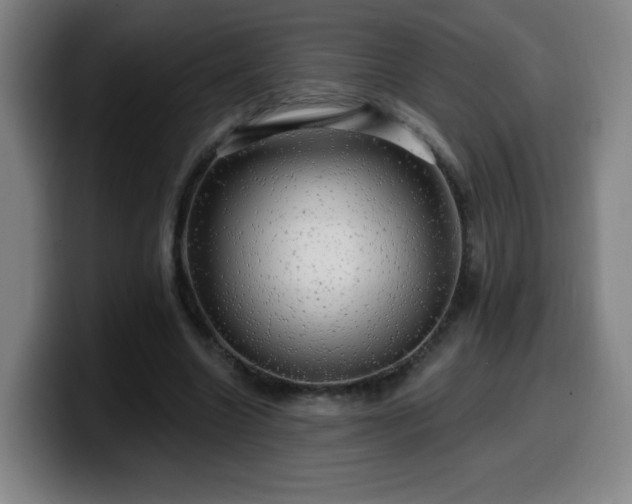 X0000099950538200805301238