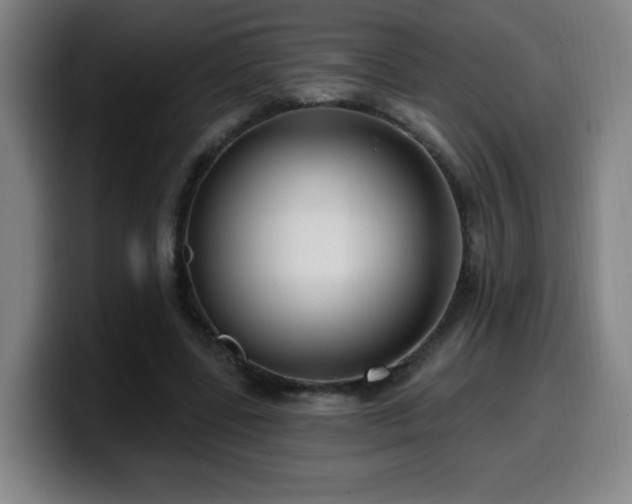 X0000099950539200805301238