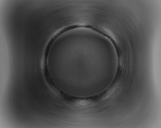 X0000099950540200805301238