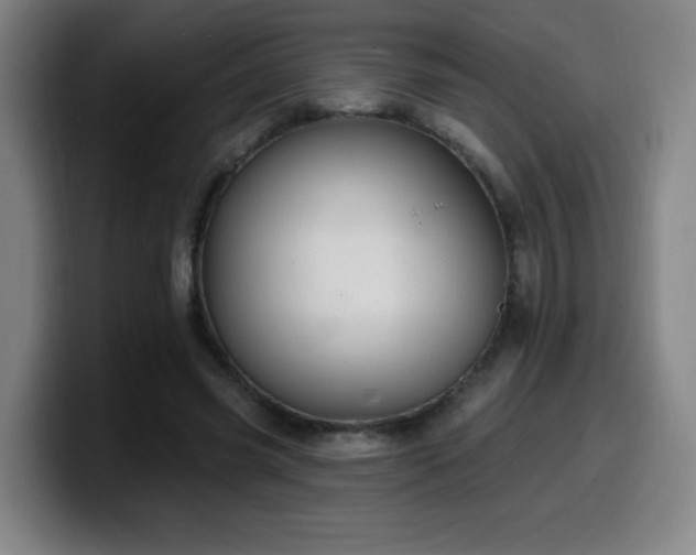 X0000099950541200805301238