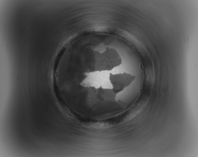 X0000099950542200805301238