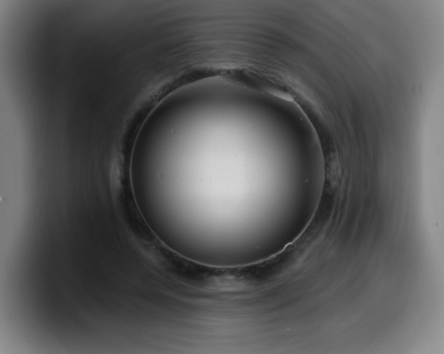 X0000099950544200805301238