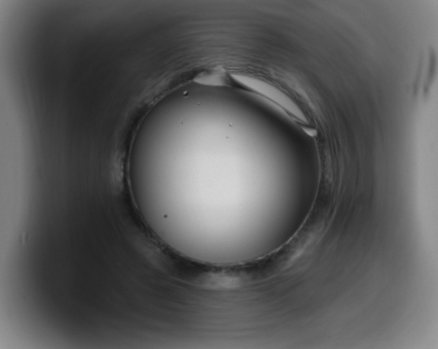 X0000099950545200805301238