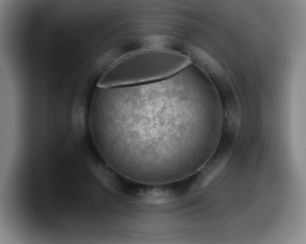 X0000099950546200805301238