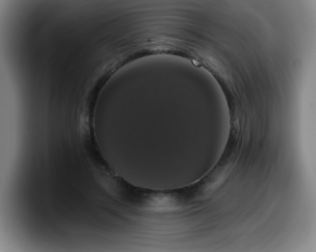 X0000099950547200805301238