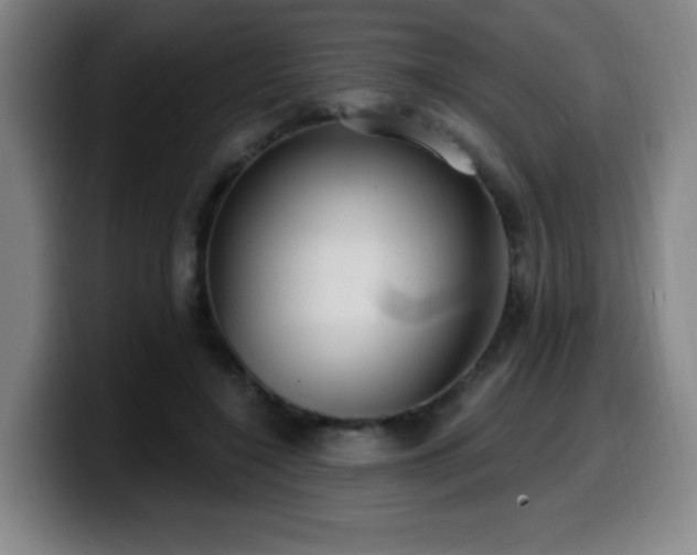 X0000099950548200805301238