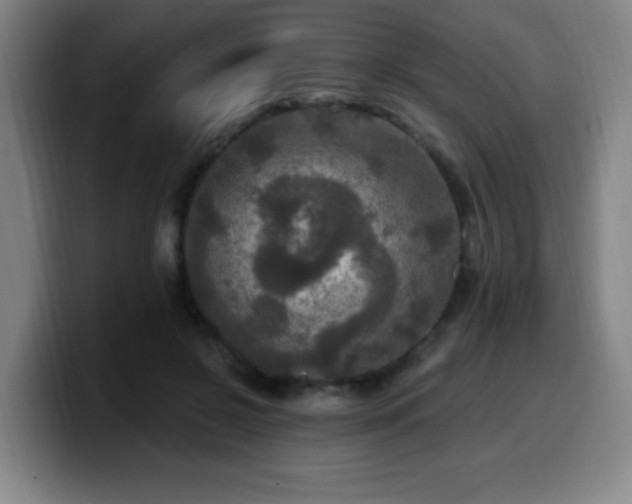 X0000099950550200805301238