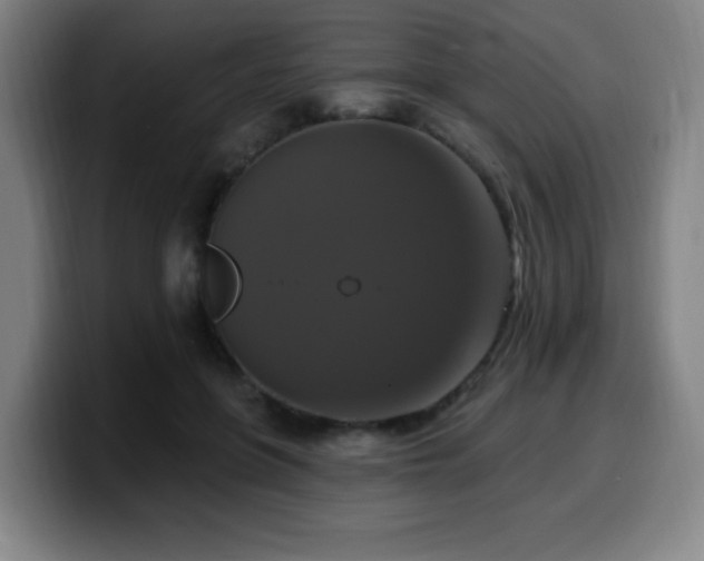 X0000099950551200805301238