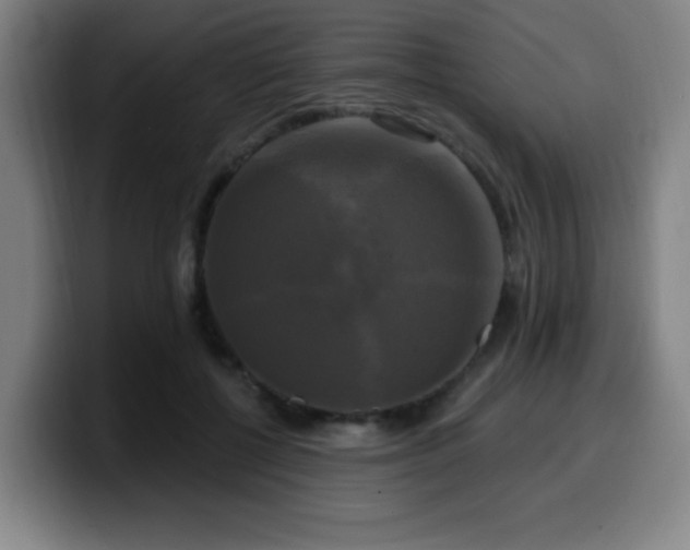 X0000099950552200805301238