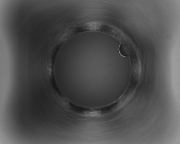 X0000099950553200805301238