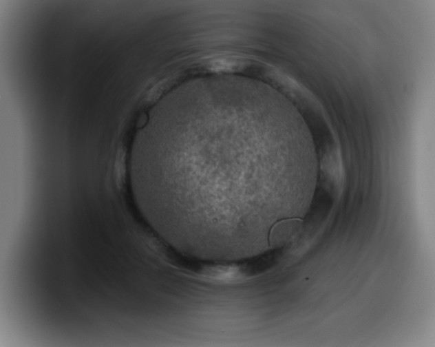 X0000099950554200805301238