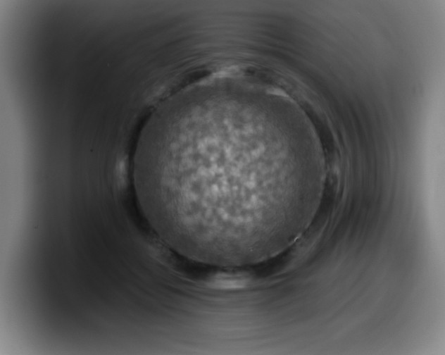 X0000099950556200805301238