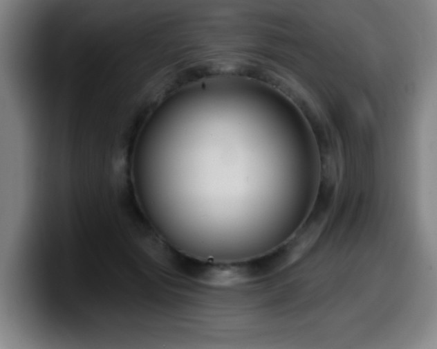 X0000099950557200805301238