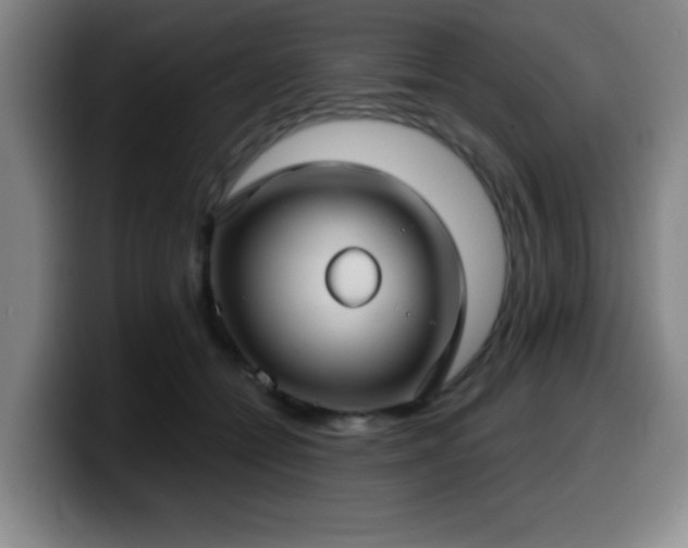 X0000099950558200805301238