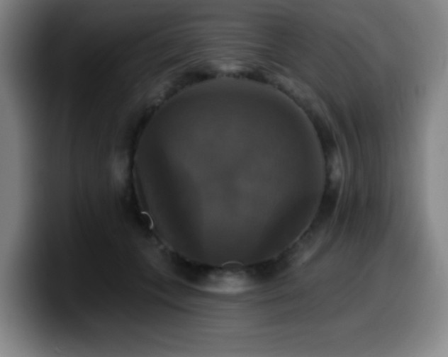 X0000099950559200805301238
