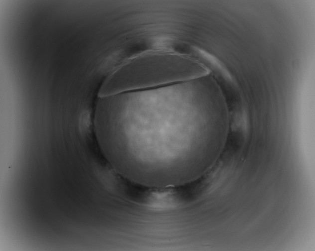 X0000099950560200805301238