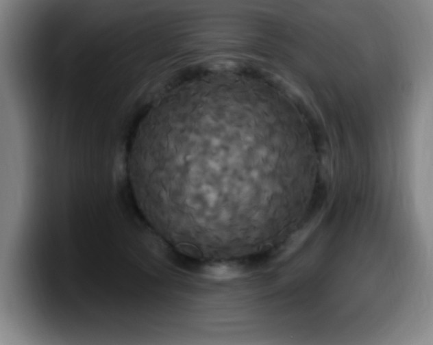 X0000099950561200805301238