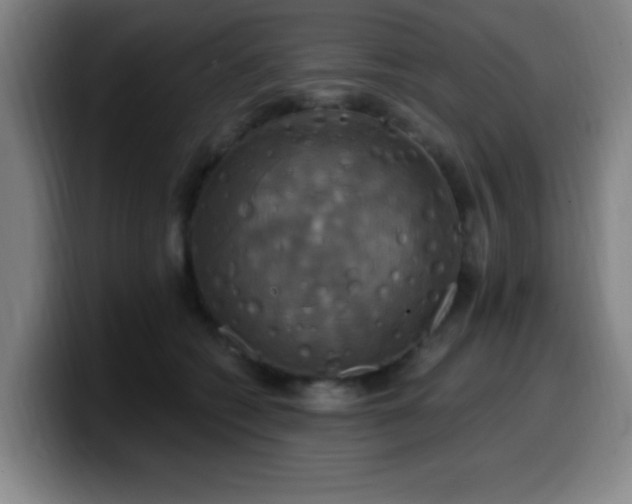 X0000099950562200805301238