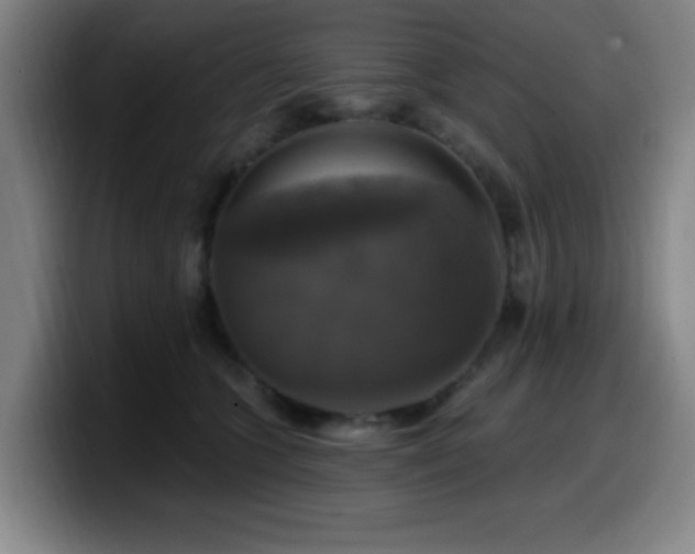 X0000099950563200805301238