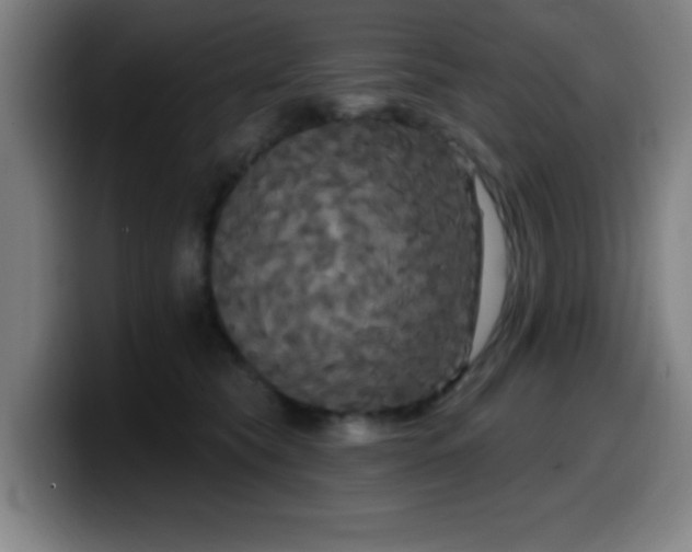 X0000099950565200805301238