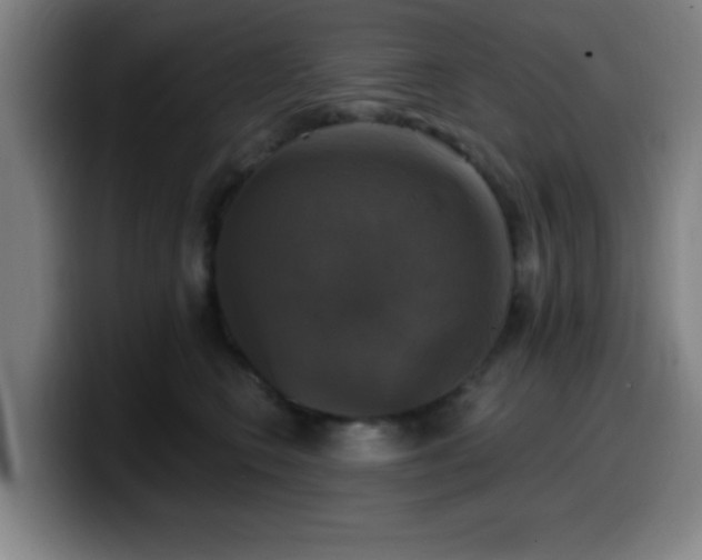 X0000099950566200805301238