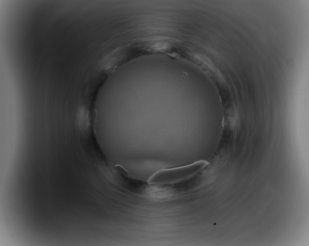 X0000099950568200805301238