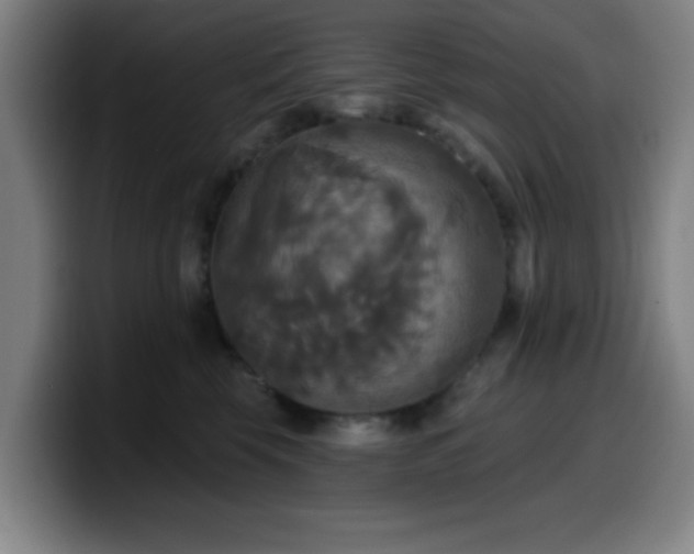 X0000099950569200805301238
