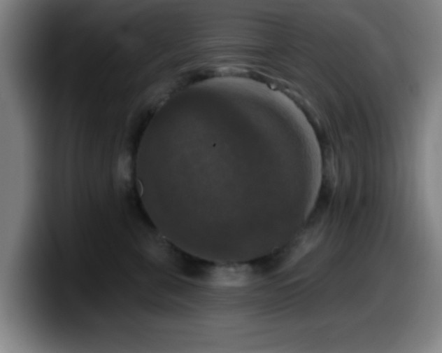 X0000099950571200805301238