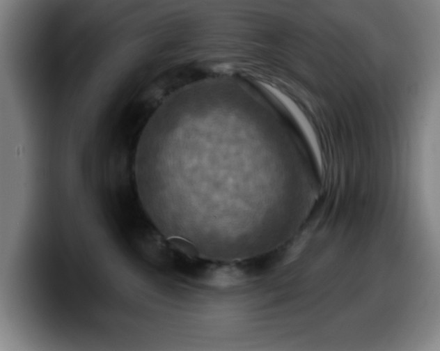 X0000099950572200805301238