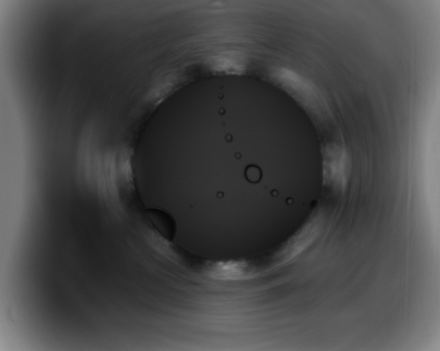 X0000099950573200805301238