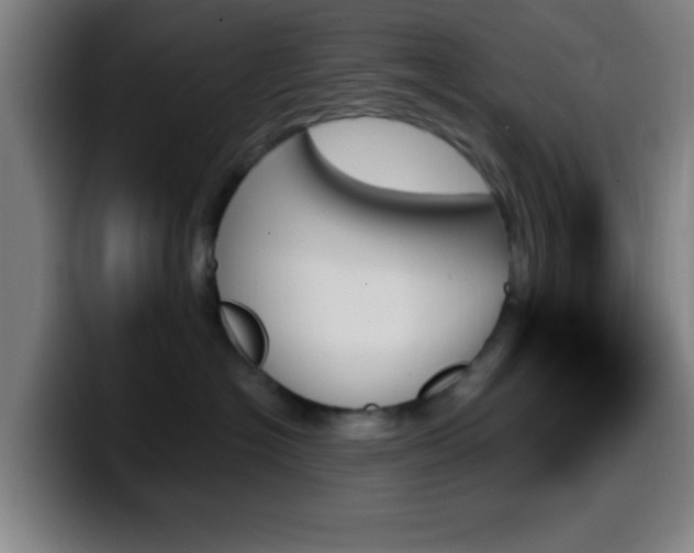 X0000099950574200805301238