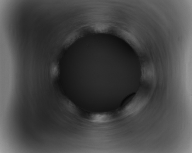 X0000099950575200805301238