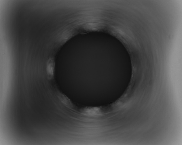 X0000099950576200805301238