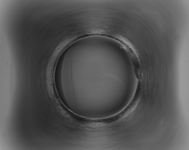 X0000099950577200805301238