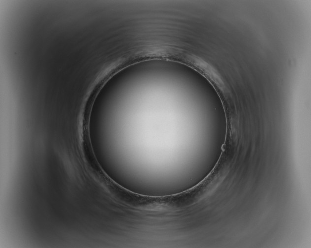 X0000099950578200805301238