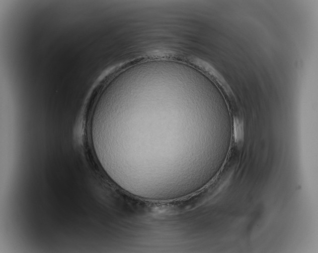 X0000099950579200805301238