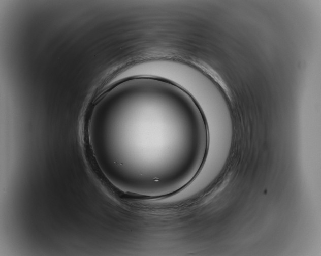 X0000099950581200805301238