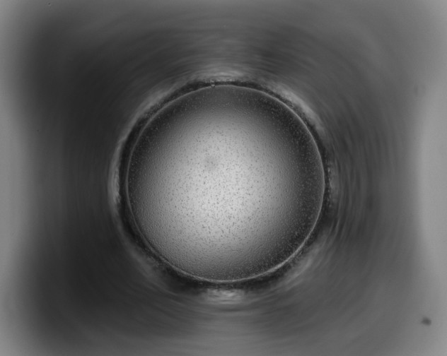 X0000099950582200805301238