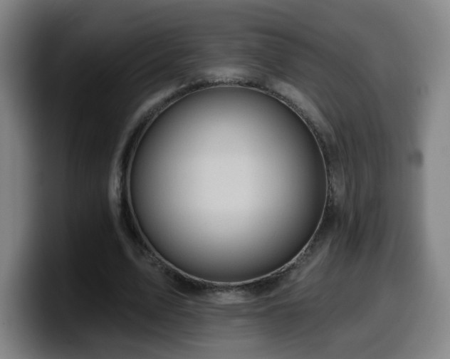 X0000099950583200805301238