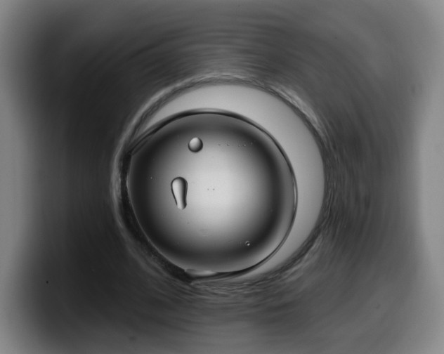 X0000099950584200805301238