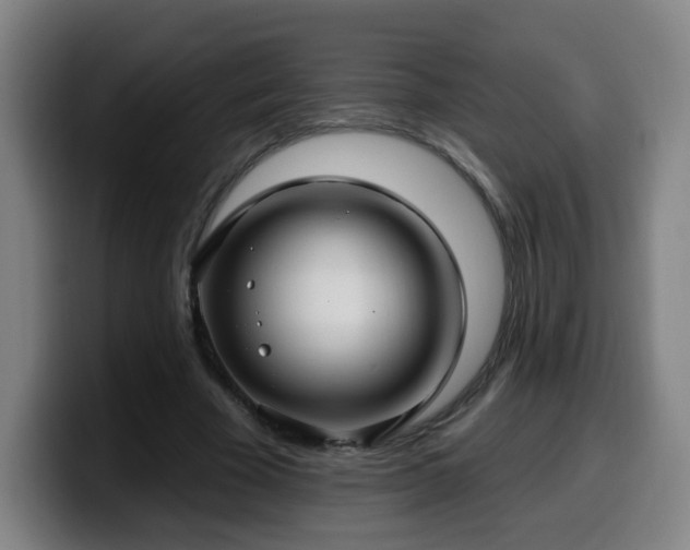 X0000099950585200805301238