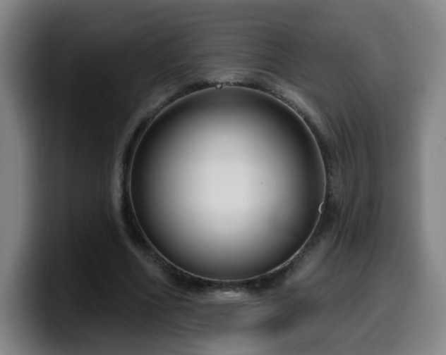 X0000099950586200805301238