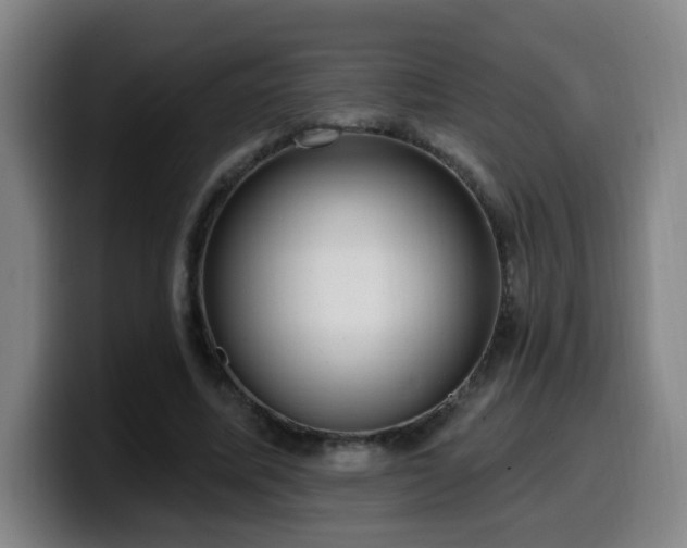 X0000099950587200805301238