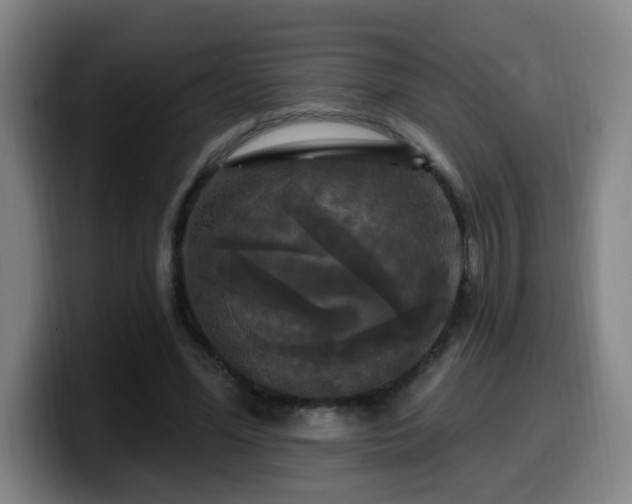 X0000099950588200805301238