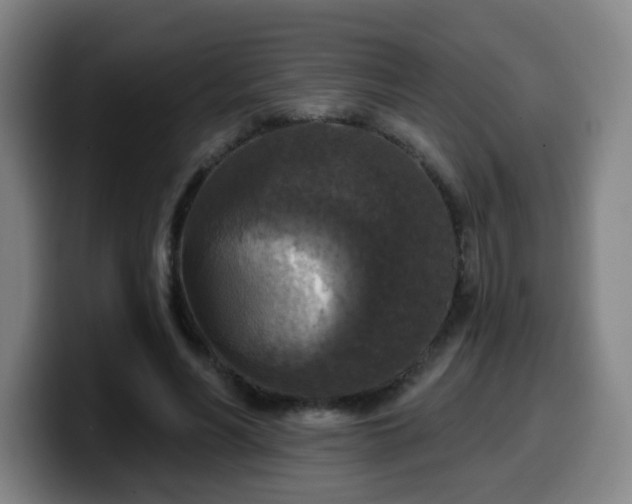 X0000099950590200805301238