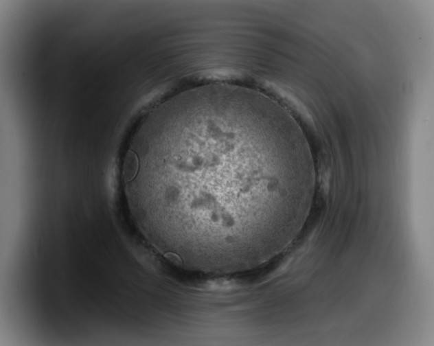 X0000099950591200805301238