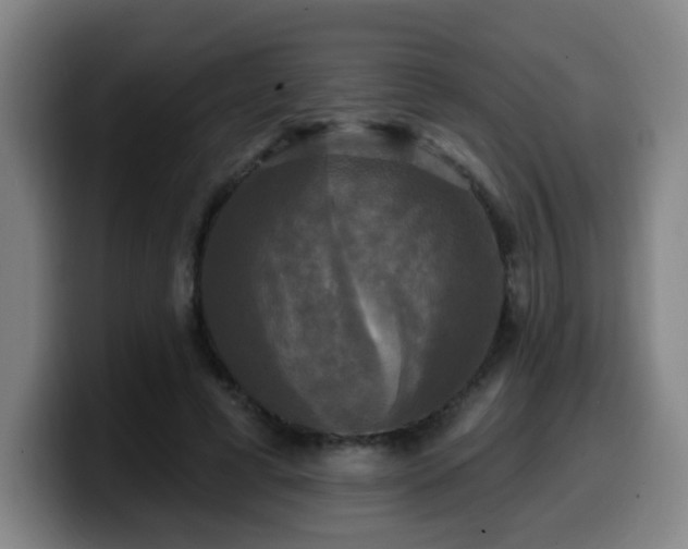 X0000099950593200805301238