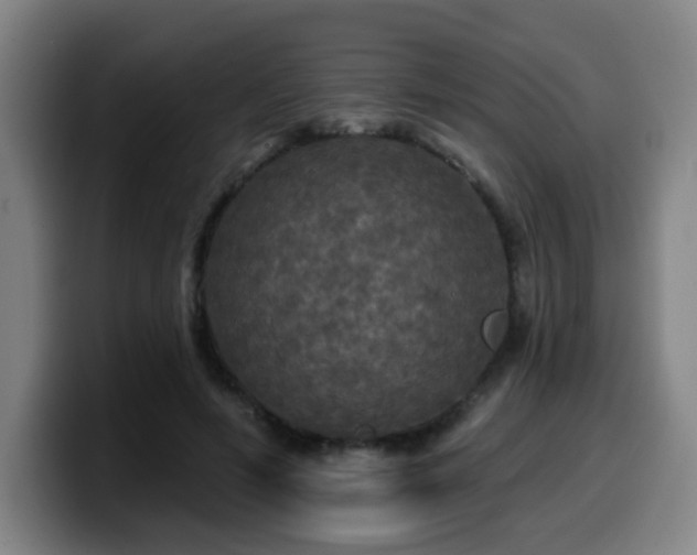 X0000099950594200805301238